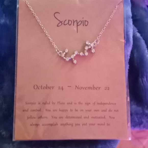 Scorpio Zodiac Constellation Necklace - Picture 4 of 4